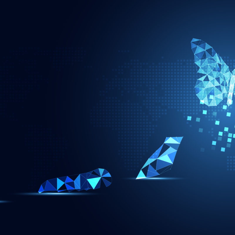 Abstract Business digital transformation innovative of butterfly life cycle evolution blue background. Renewal and Powerful transformation metamorphosis concept. Lightness of being and playfulness