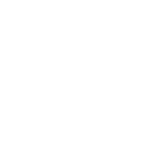 Voice Solutions for Businesses